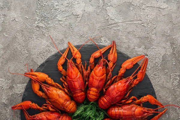 Top View Black Plate Red Lobsters Green Herbs Grey Textured — Stock Photo, Image