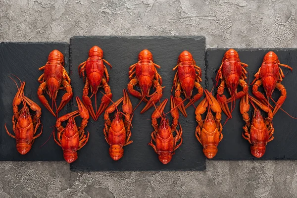 gri dokulu yüzeyüzerinde kırmızı ıstakoz ile siyah plaka üst görünümü