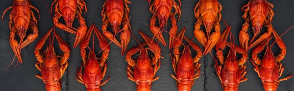 Panoramic Shot Red Lobsters Black Textured Surface — Stock Photo, Image