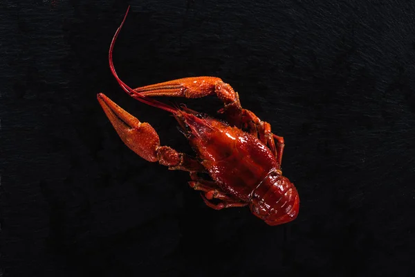 黑表面上红龙虾的顶视图 — 图库照片