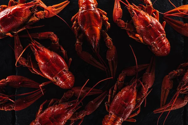 Top View Red Lobsters Black Surface — Stock Photo, Image