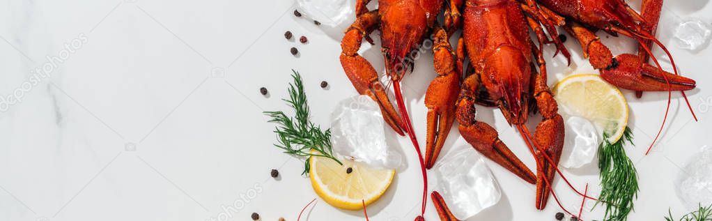 panoramic shot of red lobsters, peppers, lemon slices and green herbs with ice cubes on white background
