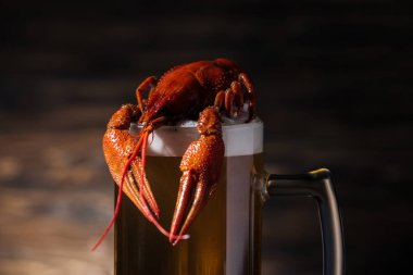 red lobster on glass with beer on wooden surface clipart