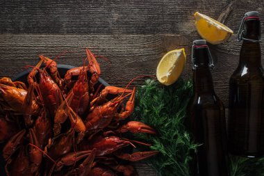 kırmızı ıstakoz, dereotu, limon dilimleri, ahşap yüzeyüzerinde bira ile şişe üst görünümü