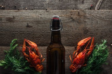 top view of red lobsters, dill and bottle with beer on wooden surface clipart
