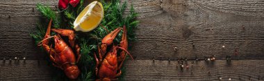 panoramic shot of red lobsters, lemon slices and dill on wooden surface clipart
