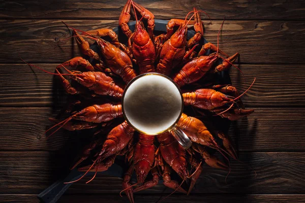 在木表面用红龙虾在盘子上观看啤酒杯的顶视图 — 图库照片