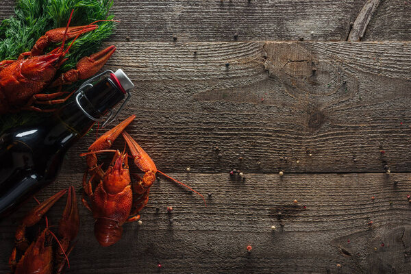 top view of red lobsters, dill and bottle with beer on wooden surface