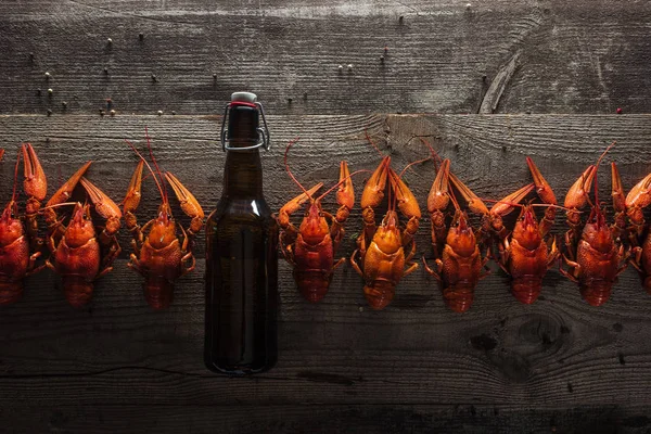 stock image top view of red lobsters and glass bottle with beer on wooden surface