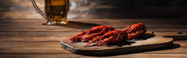 panoramic shot of red lobsters and glass with beer on wooden surface