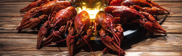 panoramic shot of beer glass on plate with red lobsters at wooden surface