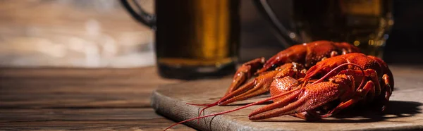 红龙虾和玻璃杯的全景拍摄与啤酒在木表面 — 图库照片