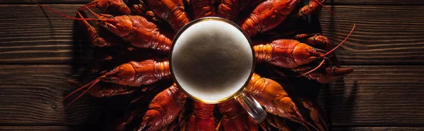 在木表面用红色龙虾在盘子上拍摄的啤酒玻璃全景照片 — 图库照片