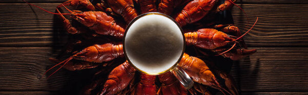 panoramic shot of beer glass on plate with red lobsters at wooden surface