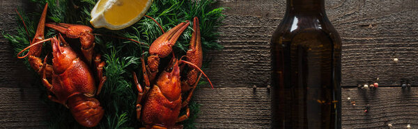panoramic shot of red lobsters, lemon slice, dill and glass bottle with beer on wooden surface