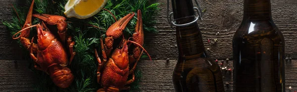 Panoramic Shot Red Lobsters Lemon Slice Dill Glass Bottles Beer — Stock Photo, Image