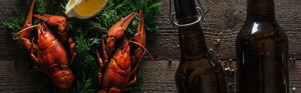 panoramic shot of red lobsters, lemon slice, dill and glass bottles with beer on wooden surface