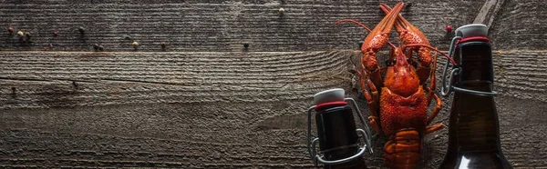 Tiro Panorâmico Lagostas Vermelhas Garrafas Vidro Com Cerveja Superfície Madeira — Fotografia de Stock