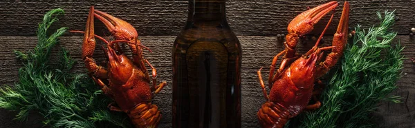 红色龙虾全景拍摄 迪尔和玻璃瓶与啤酒在木表面 — 图库照片