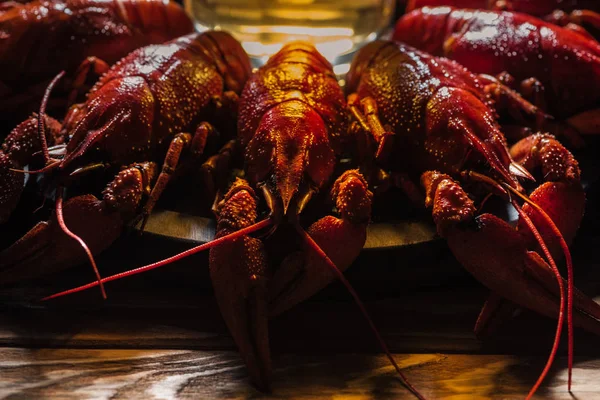 Selective focus of plate with red lobsters and glass of beer on wooden surface — Stock Image Selective Focus Plate Red Lobsters Glass Beer Wooden Surface Stock Image