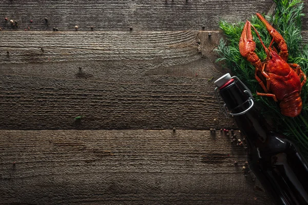 Top view of red lobster, dill and bottle with beer on wooden surface — Stock Image Top View Red Lobster Dill Bottle Beer Wooden Surface Stock Photo