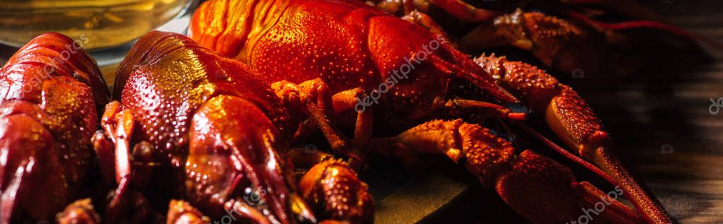 Panoramic shot of beer glass on plate with red lobsters at wooden surface — Stock Image Panoramic Shot Beer Glass Plate Red Lobsters Wooden Surface Stock Image
