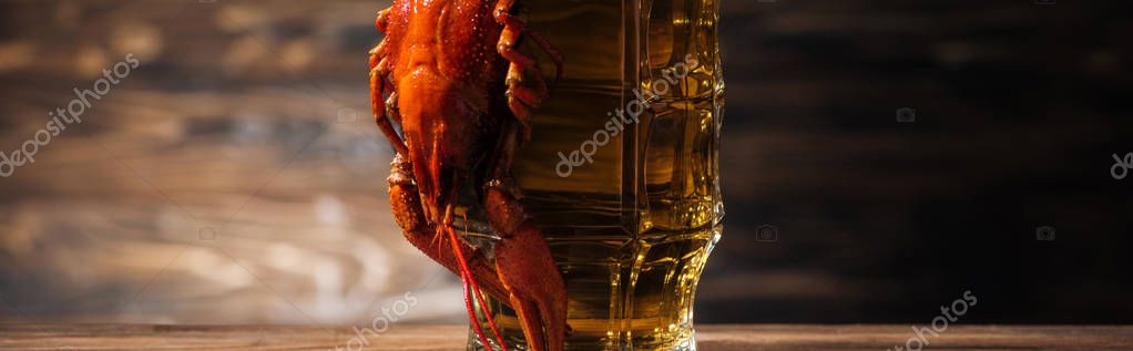 Panoramic shot of red lobster on beer glass at wooden surface — Stock Image Panoramic Shot Red Lobster Beer Glass Wooden Surface Stock Photo