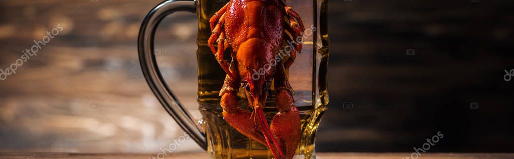 Panoramic shot of red lobster on beer glass at wooden surface — Stock Image Panoramic Shot Red Lobster Beer Glass Wooden Surface Royalty Free Stock Images