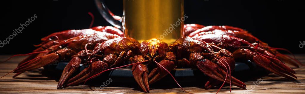 Beer glass on plate with red lobsters at wooden surface — Stock Image Beer Glass Plate Red Lobsters Wooden Surface Royalty Free Stock Photos