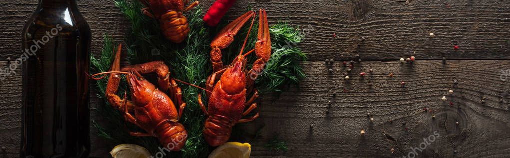 Panoramic shot of red lobsters, lemon slices, dill and glass bottle with beer on wooden surface — Stock Image Panoramic Shot Red Lobsters Lemon Slices Dill Glass Bottle Beer Royalty Free Stock Photos