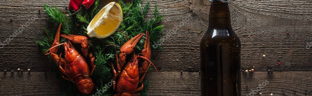 Panoramic shot of red lobsters, lemon slices, dill and glass bottle with beer on wooden surface — Stock Image Panoramic Shot Red Lobsters Lemon Slices Dill Glass Bottle Beer Royalty Free Stock Photos