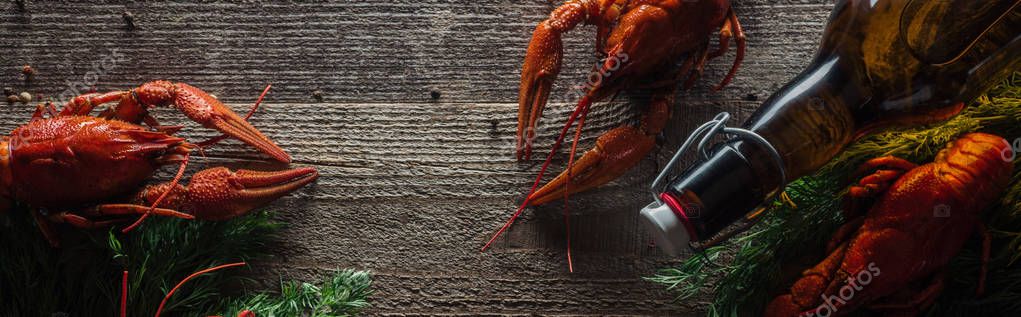 Panoramic shot of red lobsters, dill and glass bottle with beer on wooden surface — Stock Image Panoramic Shot Red Lobsters Dill Glass Bottle Beer Wooden Surface Stock Photo