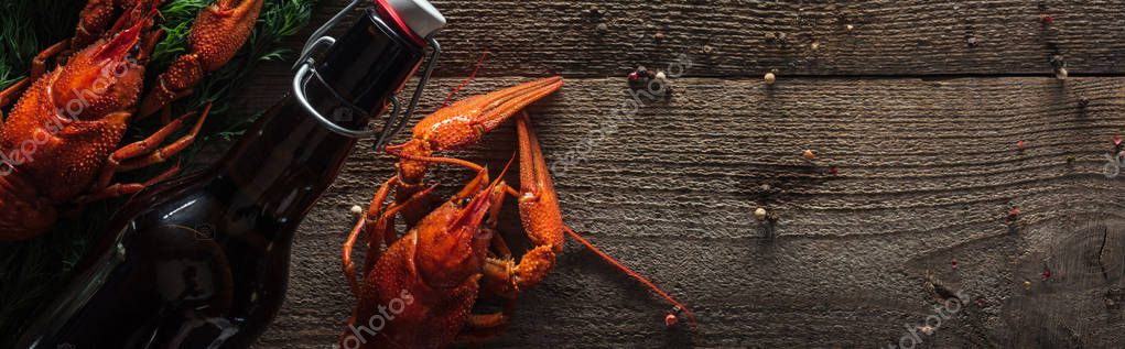Panoramic shot of red lobsters, dill and glass bottle with beer on wooden surface — Stock Image Panoramic Shot Red Lobsters Dill Glass Bottle Beer Wooden Surface Stock Image
