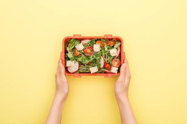 sarı arka plan üzerinde elinde salata ile öğle yemeği kutusu tutan kadın kırpılmış görünümü