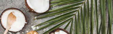 top view of coconut shavings with wooden spoon on grey textured background with palm leaf and coconuts, panoramic shot clipart