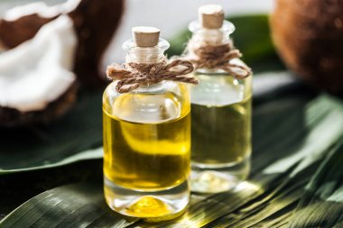 yeşil palmiye yaprakları üzerinde hindistan cevizi yağı ile şişe seçici odak