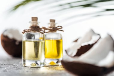 kırık hindistan cevizi yakın hindistan cevizi yağı ile şişe seçici odak