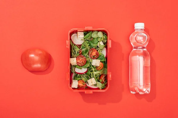 Draufsicht Auf Apfel Flasche Mit Wasser Und Lunchbox Auf Rotem — Stockfoto