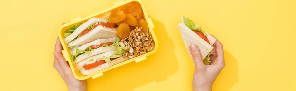 Ausgeschnittene Ansicht Einer Frau Mit Sandwich Und Lunchbox Mit Lebensmitteln — Stockfoto