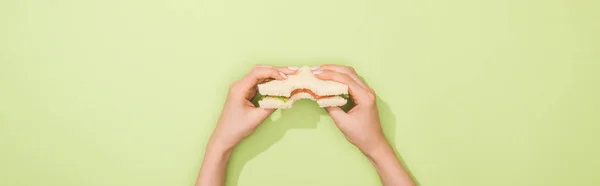 Krympet Syn Kvinne Som Holder Sandwich Sine Hender – stockfoto