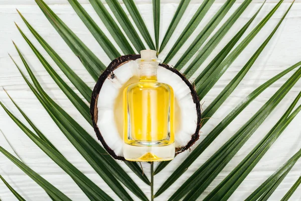 Ansicht Von Kokosöl Der Flasche Auf Kokosnusshälfte Und Grünem Palmblatt — Stockfoto