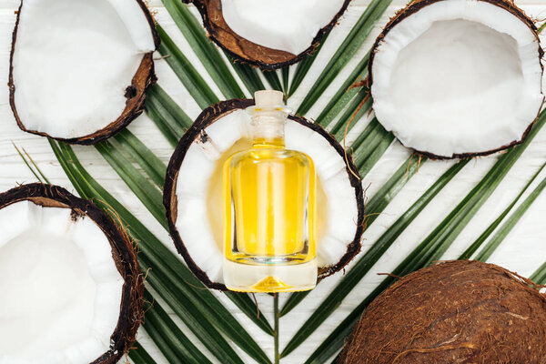 top view of coconut oil in bottle on coconut half and green palm leaf on white wooden surface