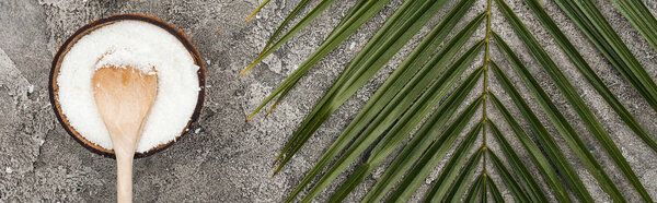 top view of coconut shavings with wooden spoon on grey textured background with palm leaf, panoramic shot