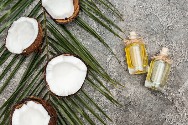 top view of coconut oil in glass bottles on grey textured background with palm leaf and cracked coconuts