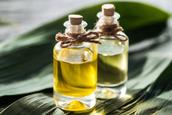 Focalizzazione Selettiva Bottiglie Con Tappi Olio Cocco Foglie Palma Verdi — Foto Stock