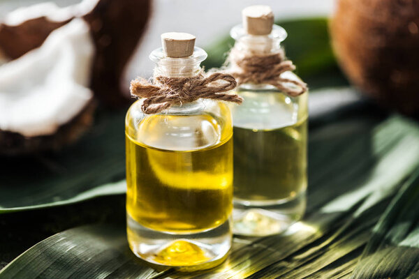 selective focus of bottles with coconut oil on green palm leaves