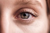 close up view of young woman grey eye with eyelashes and eyebrow looking at camera