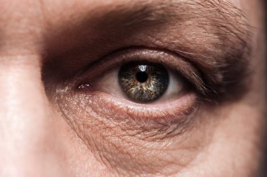 close up view of mature man eye with eyelashes and eyebrow looking at camera clipart