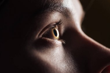 close up view of young woman eye with eyelashes and eyebrow looking away in darkness clipart