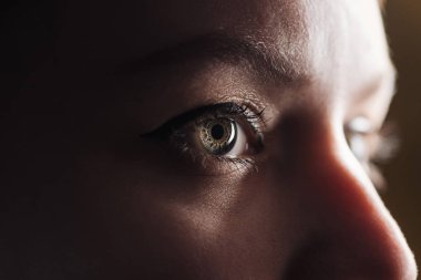 close up view of young woman eye with eyelashes and eyebrow looking away in dark clipart